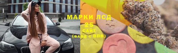 гашик Карталы