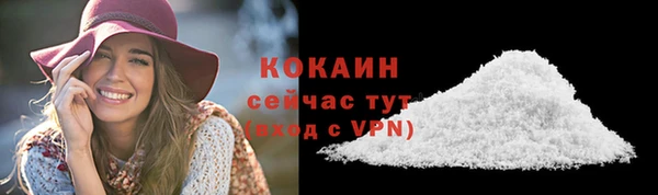 гашик Карталы