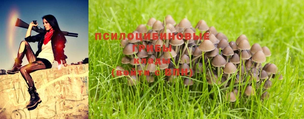 MDMA Карпинск